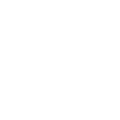 new york life logo white